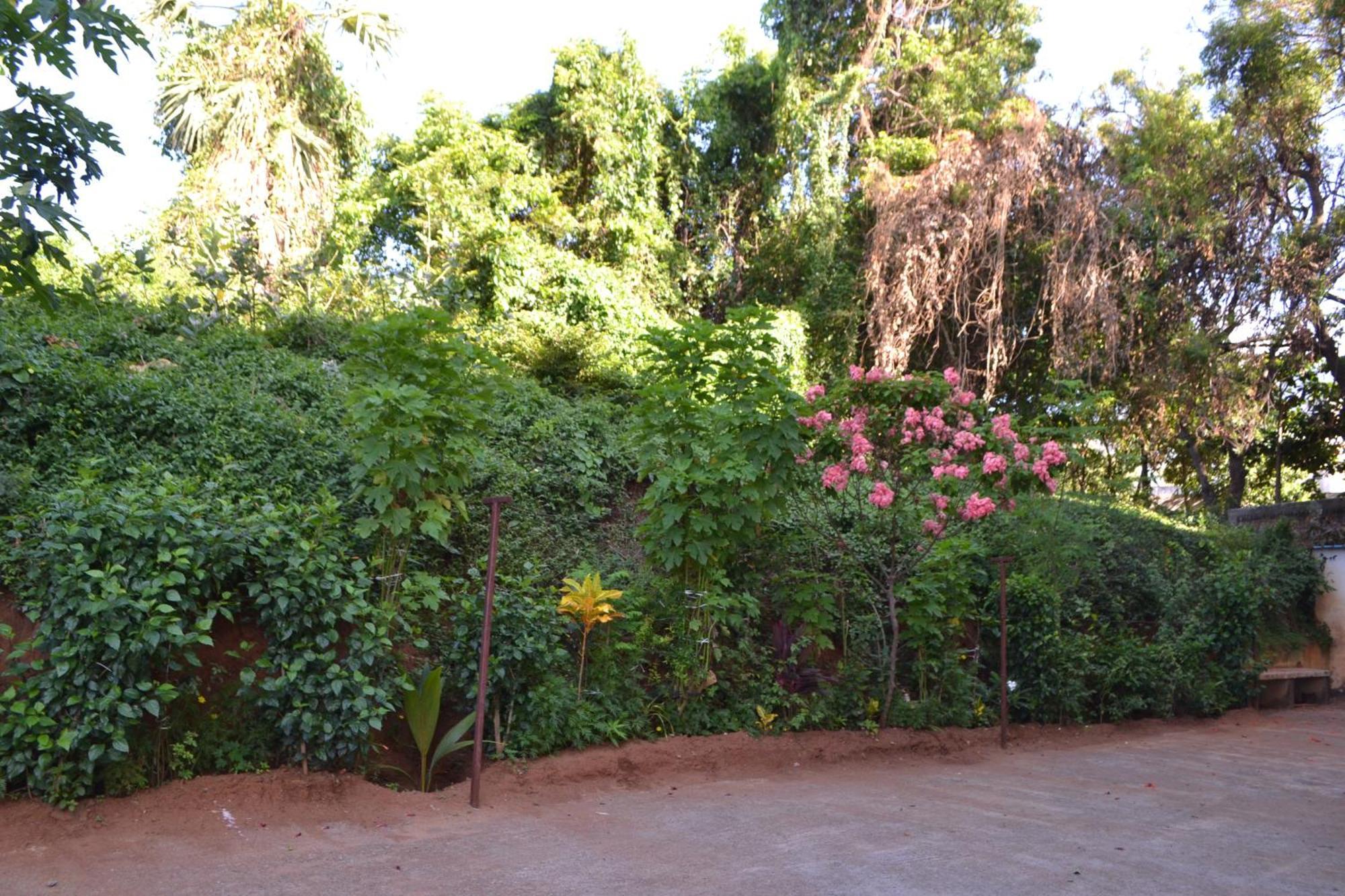 Yuga Guest House Kuttalam  Ngoại thất bức ảnh